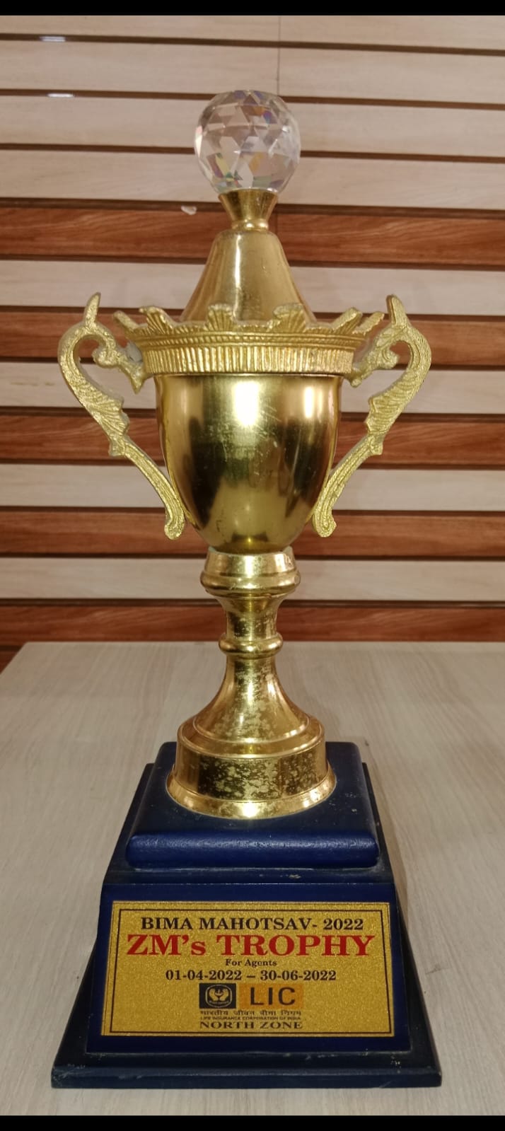 ZM's Trophy